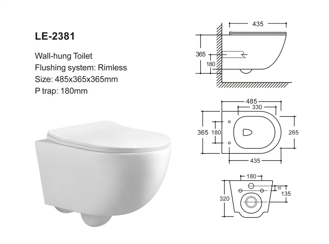 Watermark CE Water-Saving Two-Piece Floor-Standing Wall Mounted S/P-Trap Toilet