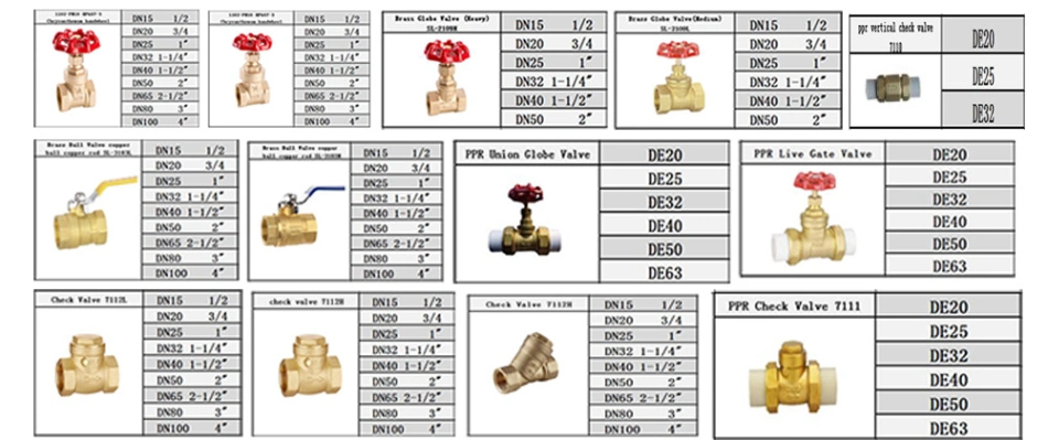 Non-Return Check Valve for Water Supply Pipe System