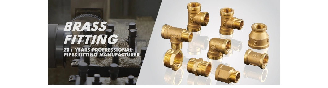 Ifan Wholesale Brass Male Thread Fittings Copper Connection Brass Bush