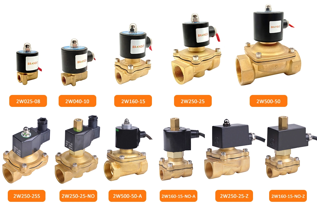 2 Way Normally Open Water Air Gas Liquid Control Brass Solenoid Valve 3/4&prime;&prime; 12VDC 24VDC 24VAC 110VAC 220VAC