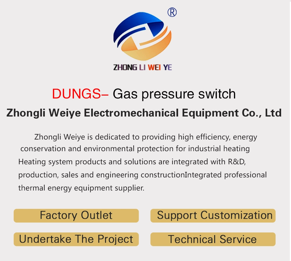 German Dungs Pressure Switch Gw50A6/1 Gas Air Pressure Switch Combustion Machine Accessories