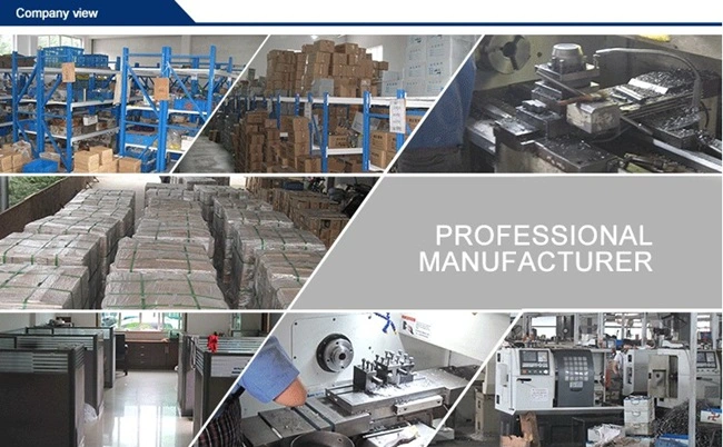 Efficient and Durable Hydraulic Press Fittings Male Straight Hydraulic Bsp Hose Fittings Pictures &amp; Photosefficient and Durable Hydraulic Press Fittings Male