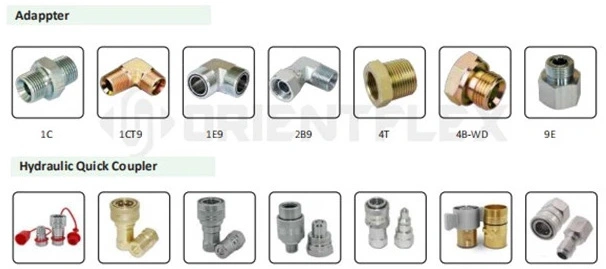 Carbon/Stainless Steel Crimp Npsm 60 Cone Hydraulic Hose Pipe Fittings Connections for Pressing