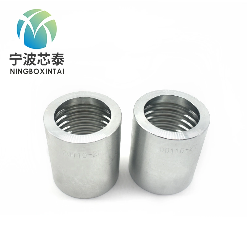 Crimp Hydraulic Stainless Carbon Steel Threaded Pipe Ferrule Fittings