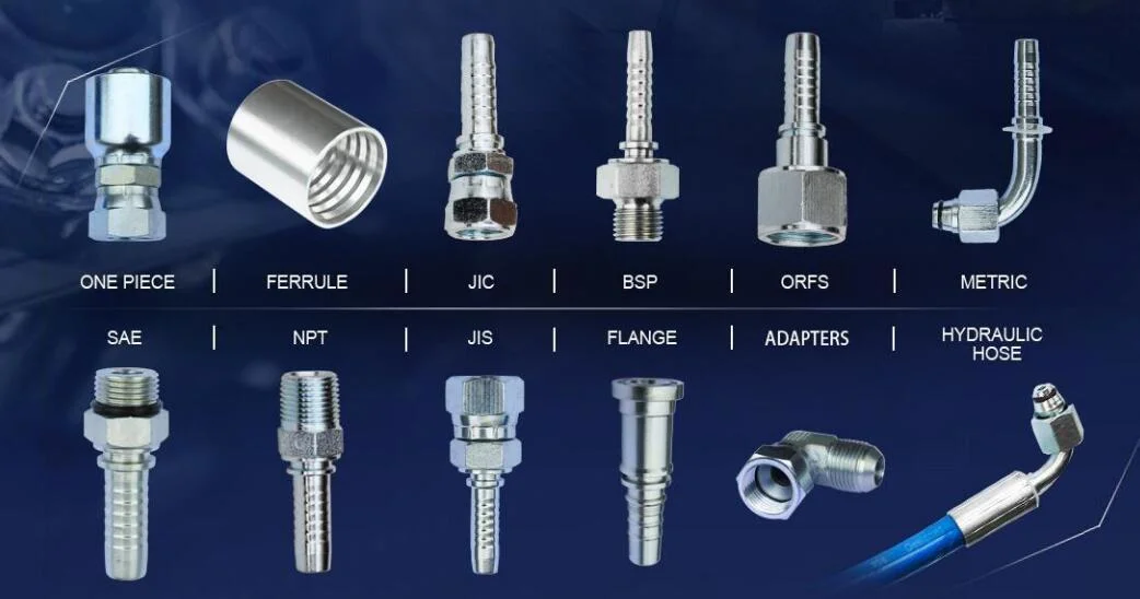 Carbon/Stainless Steel Crimp Npsm 60 Cone Hydraulic Hose Pipe Fittings Connections for Pressing