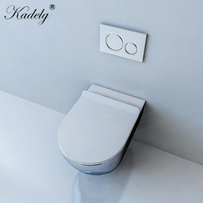 Туалетная комната с отделкой цвета Silver Colour туалетная комната с туалетом и туалетом С белым сиденьем