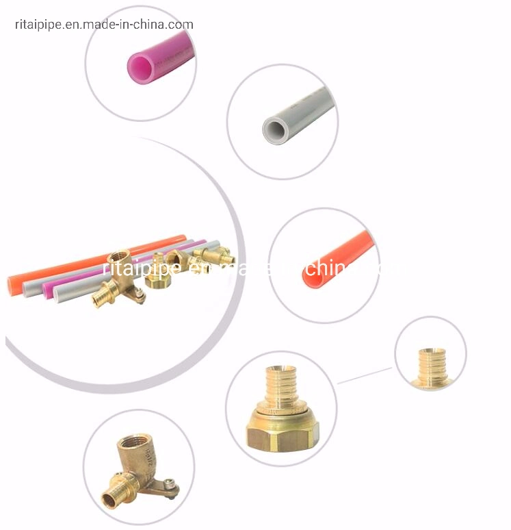 Lead-Free PRO-Environment Brass Straight Fittings Water Pipe Use Slide Tight Reducing Male Thread Straight Joint