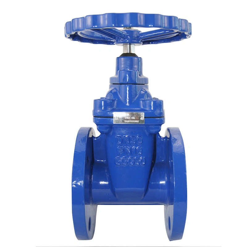 Awwa Ductile Iron Flanged Ends Non Rising Stem Control Water Flange Gate Valve