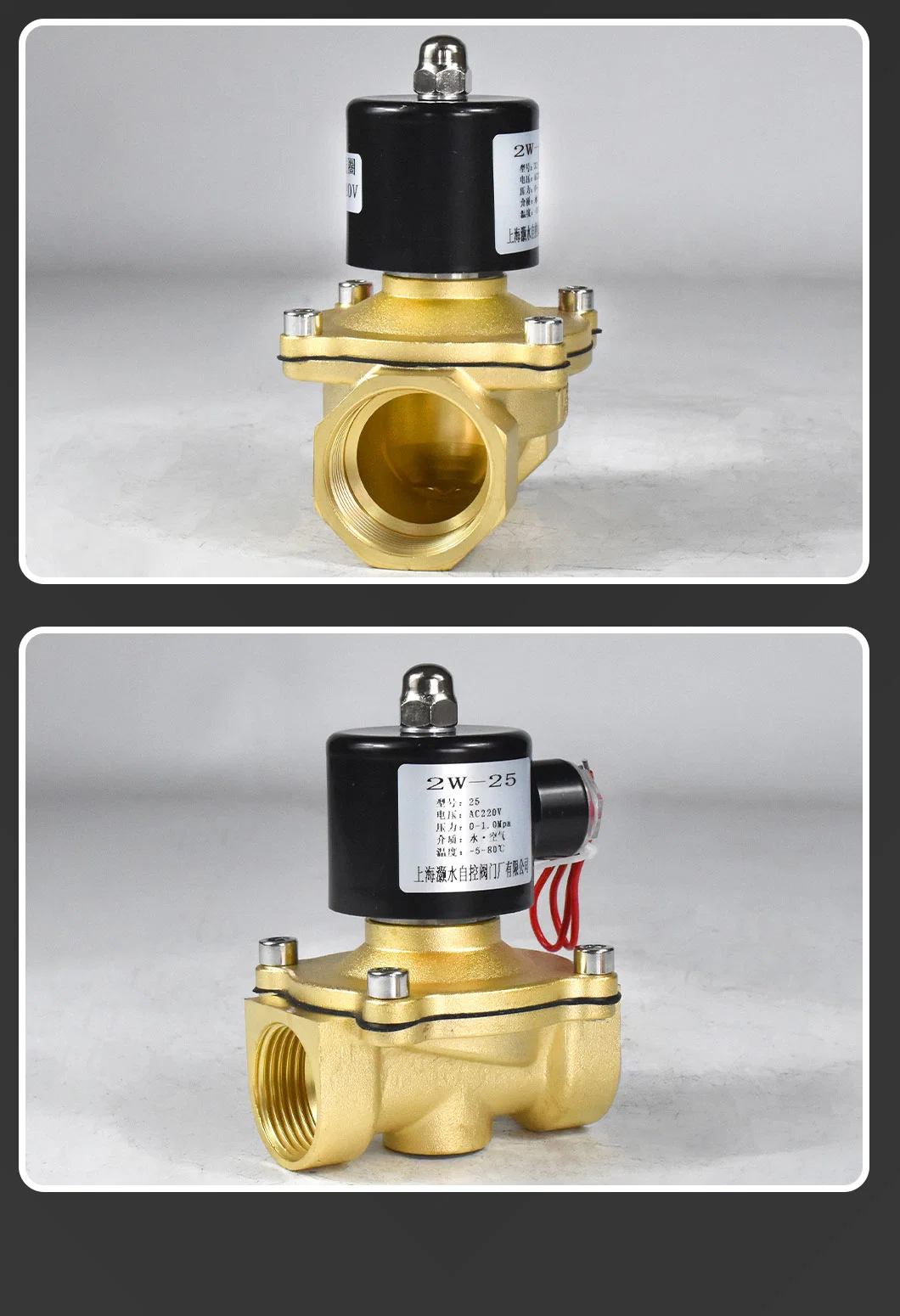 AC220V Copper Coil Copper Normally Closed Solenoid Valve Stainless Steel