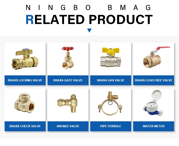 Cw617n Dzr Brass Inviolable Magnetic Lockable Ball Valve