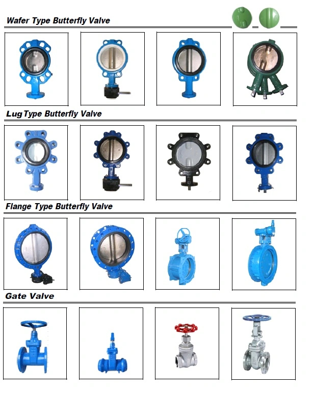 Ductile Iron Flange Swing Check Valves