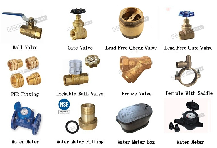 All Types of Brass Fittings, Water Meter Fitting, PPR Insert, Brass Pex Fitting, Push Fit Fitting