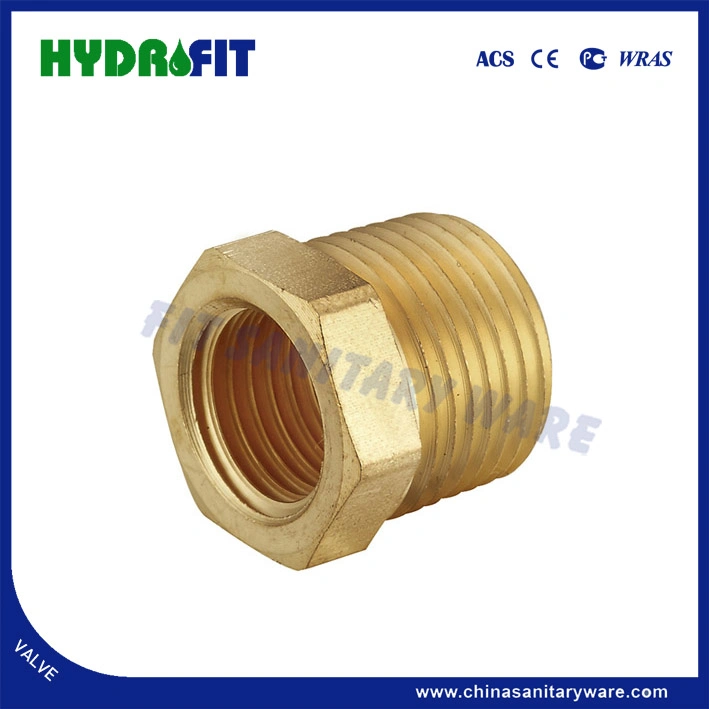 American Market Lead-Free Pipe Fittings Brass Bushing (AMK13115)