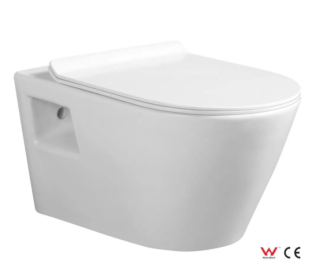 Hot Product Wall Hung Sanitary Ware Sanitary Accessories Family Toilet Le-2354-2A