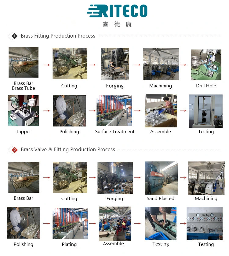 Press Fittings in Brass /Water Fitting/Gas Fitting/Copper/Coupling Fitting/Sanitary Fitting