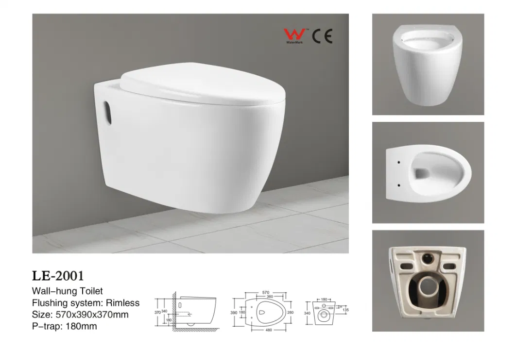 Bathroom Water Closet Ceramic Wc Wall Hung Toilet in Chaozhou