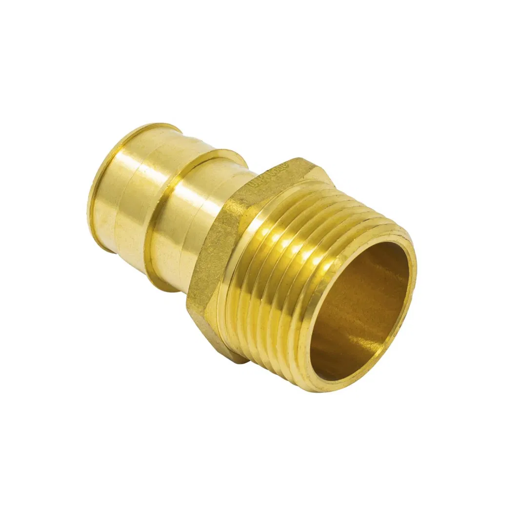 Lead Free NSF Brass Pex Male Adapter F1960