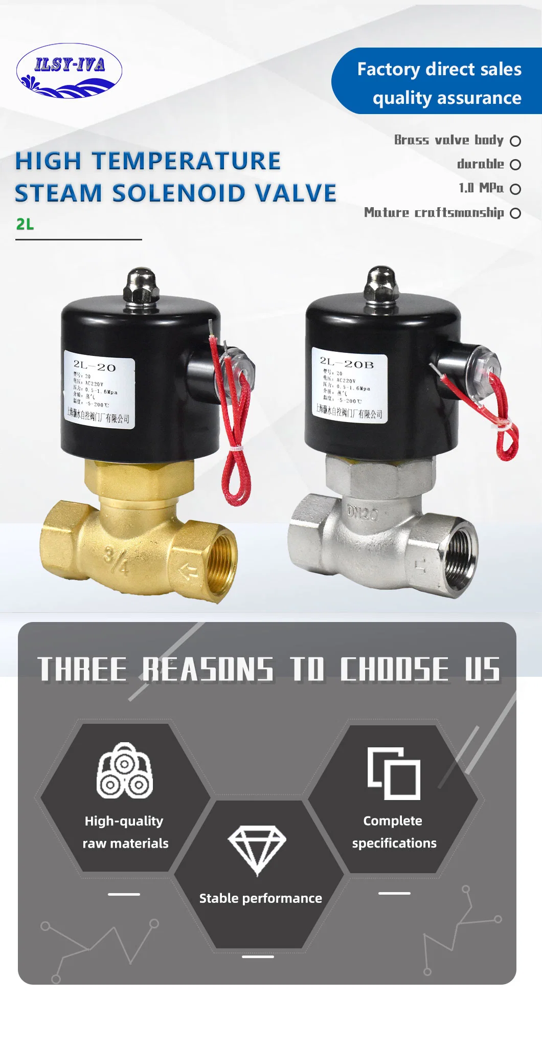 Piston Type High Temperature Steam Valve Solenoid Valve AC220V