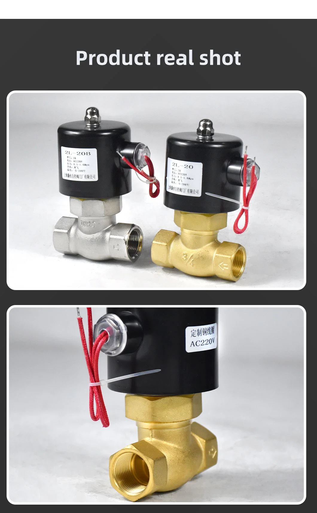 Piston Type High Temperature Steam Valve Solenoid Valve AC220V