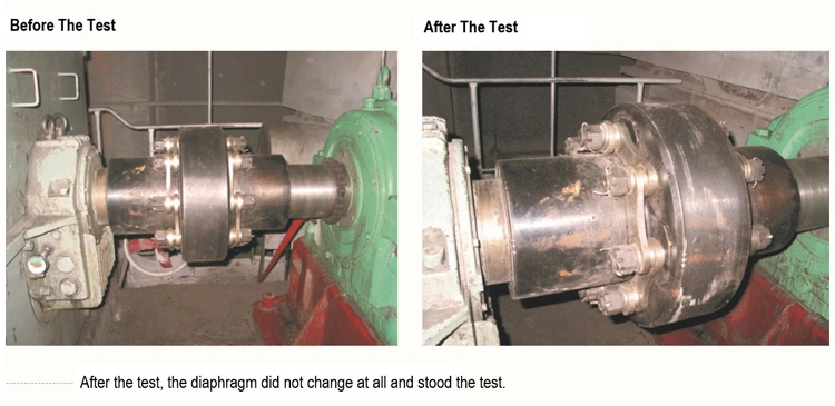 Densen Customized Hydraulic Coupling, Hydraulic Drive Coupling