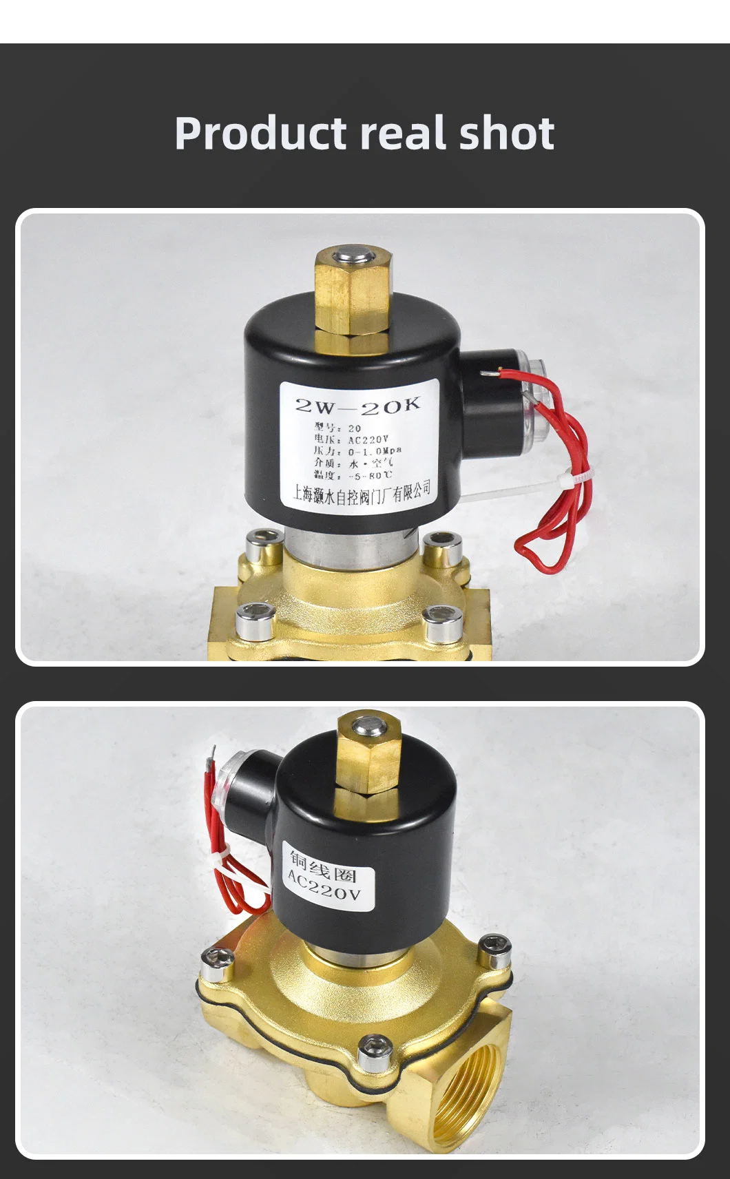 All Copper Stainless Steel Normally Open Solenoid Valve AC220V