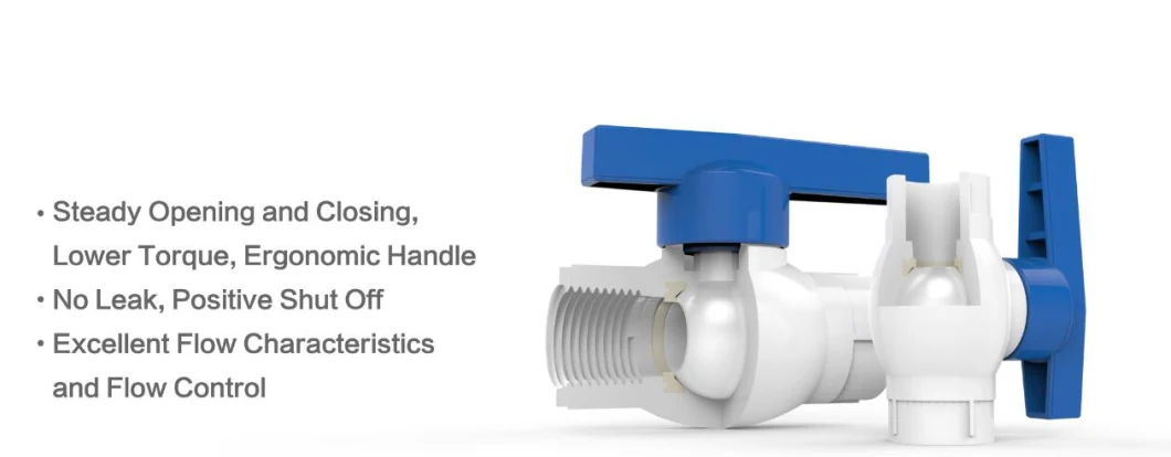 Plastic (UPVC/PVC/ CPVC /PPR) and Ball Valve with Pn10 /Pn16/ ASTM Standard