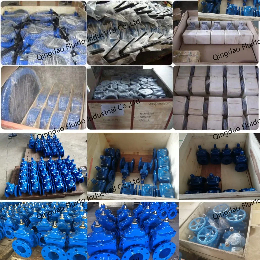 API DIN ANSI Wcb 600 Brass Stainless Carbon Steel Cast Ductile Iron Non Rising Stem Knife O&Y Resilient Seated Industrial Control Sluice F4 Gate Valve Price