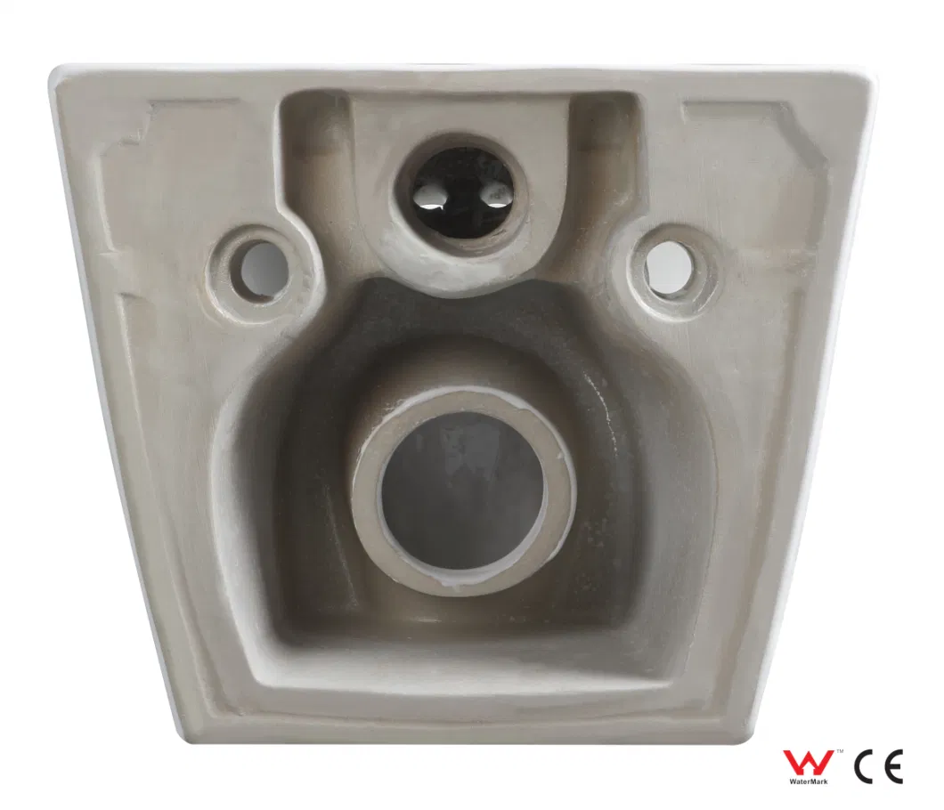 Hot Product Wall Hung Sanitary Ware Sanitary Accessories Family Toilet Le-2354-2A