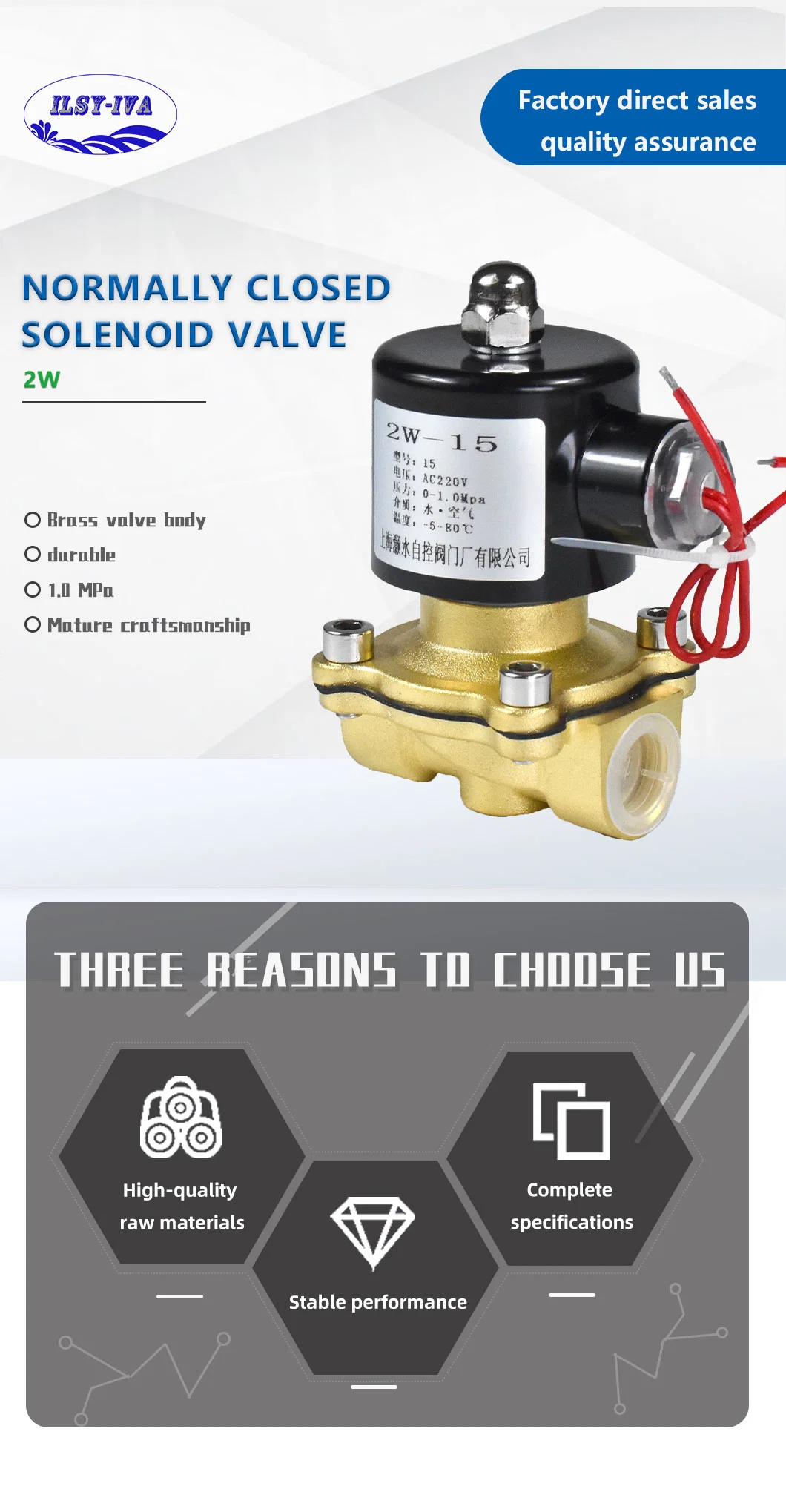 AC220V Copper Coil Copper Normally Closed Solenoid Valve Stainless Steel