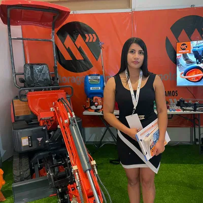 Chinese Used Mini Excavator for Sale 1000kg 1 Ton 2 Ton 3 Ton Mini Digger Quality Diesel Second Hand Crawler Excavator Factory Direct Wholesale Price for Sale
