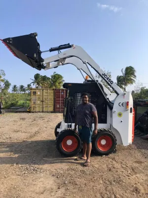 Min Skid Steer Front Loader Excavator Jc45g with CE