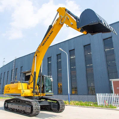 China Sell 23ton Big Crawler Excavators Use for Building Construction
