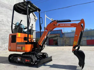 Mini Small Little Hydraulic Crawler Backhoe Excavator for Garden and Farm
