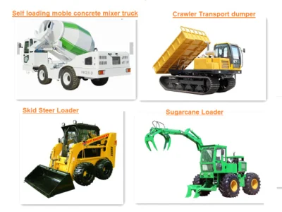 Large Hydraulic for Hot Sale Crawler Hydraulic Mining Excavator