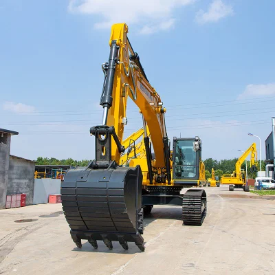 Sell 30ton Large Hydraulic Crawler Mining Excavator with 1.4cbm Bucket Capacity