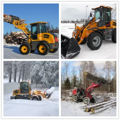 Large Hydraulic for Hot Sale Crawler Hydraulic Mining Excavator