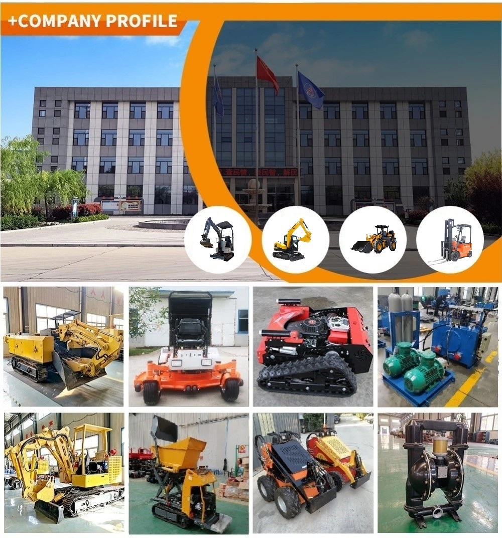 Strong Power Multifunction Hydraulic Diesel Mini Crawler Excavators