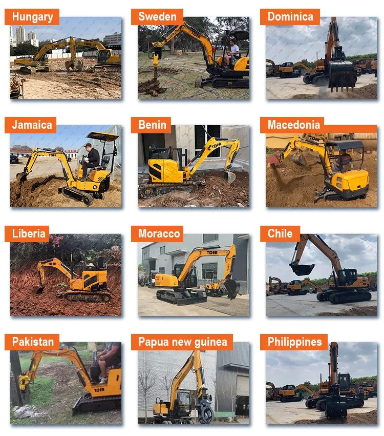 Tder Electric Digger Mini Shovel Machinemining 800kg 1000kg 1500kg 1800kg 2000kg Digging Machine Mini Excavator for Sale