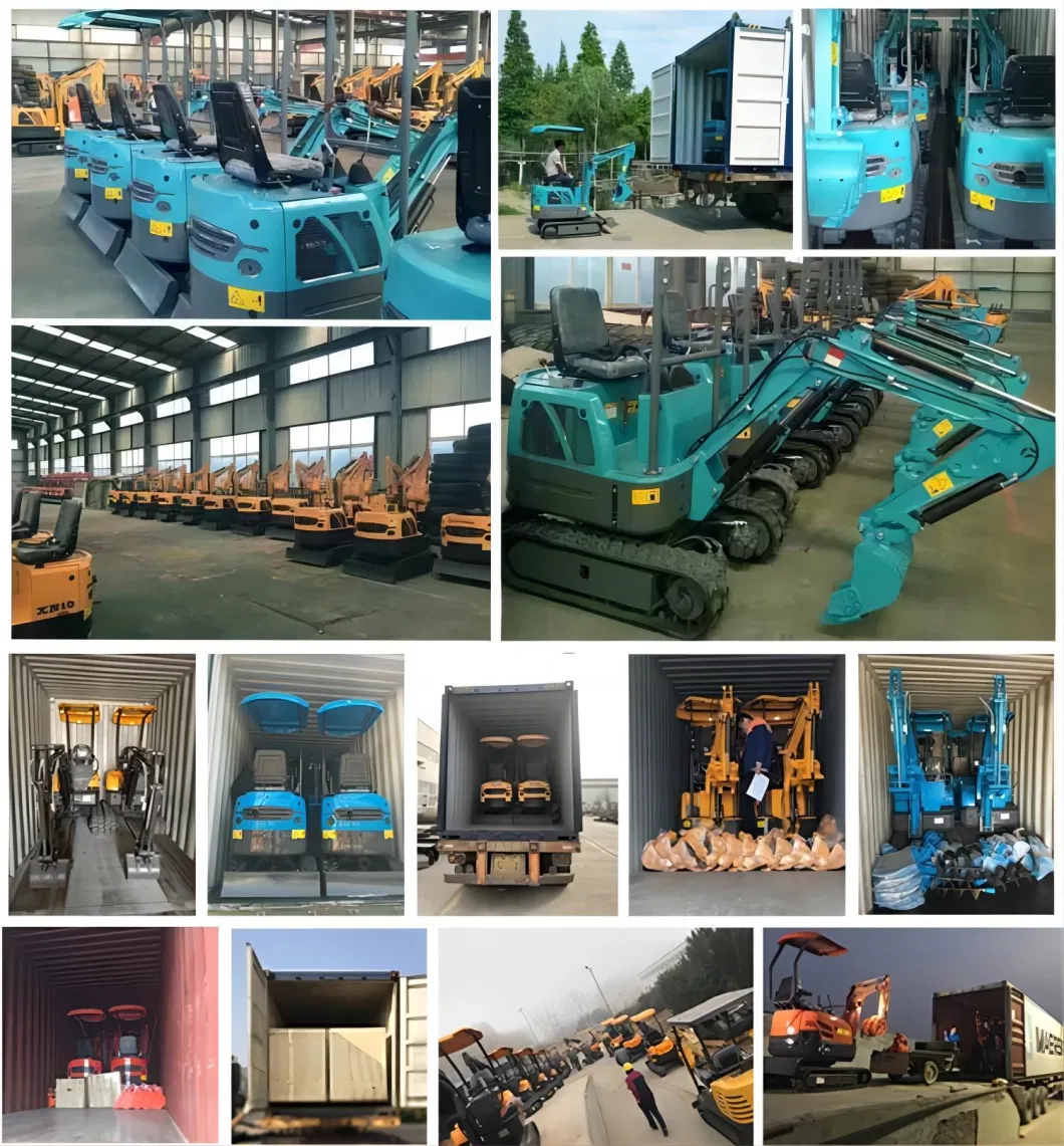 (CX10T) Lenth of Track 1230 mm Hydraulic Excavator for Sale