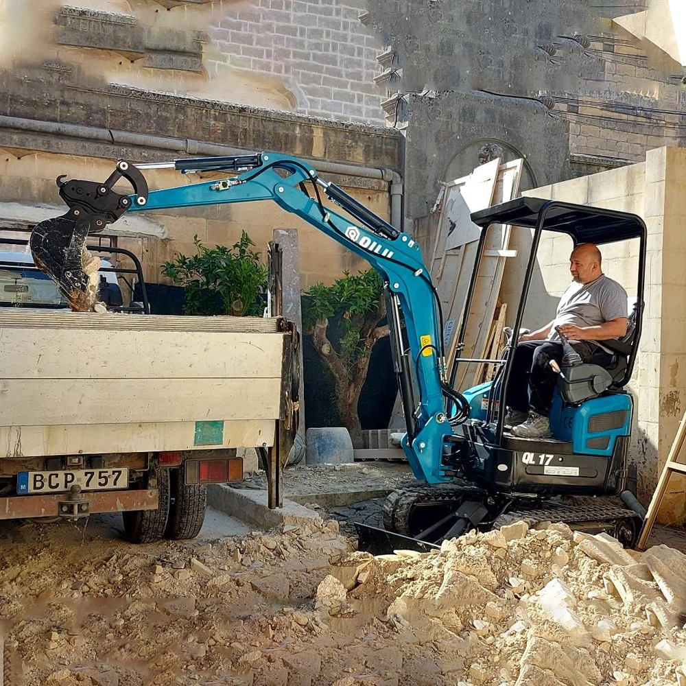 Qilu Mini Excavator with Yanmar Diesel Engine for Free Shipping