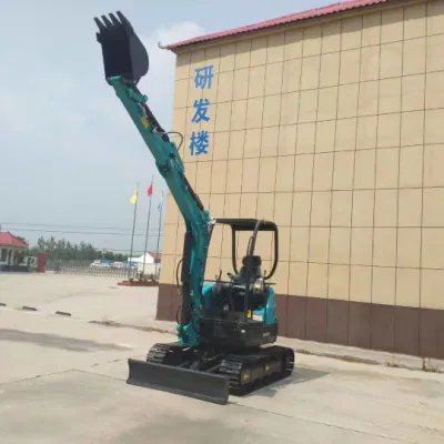 Cina macchina idraulica piccola Mini escavatore 1000 kg Commercio all′ingrosso Compact Micro Escavatore piccolo con motore diesel per uso domestico Bagger