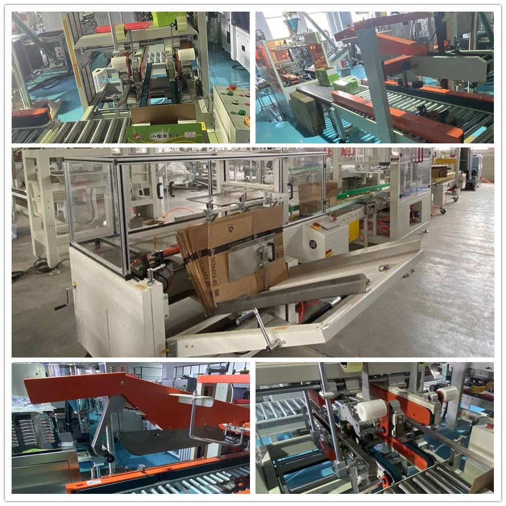 Automatic Grasping Case Packing Machine for Pet Glass Beverage