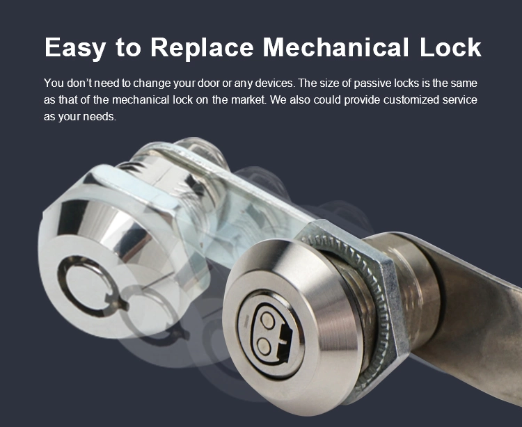 Firm Stainless Steel Padlocks with Safety Controller Consisted by Software &amp; Master Key