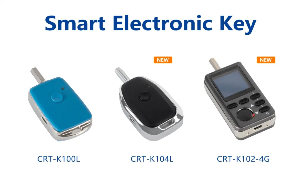 Focused on Delivering The Highest Quality Smart Electronic Padlock Key with Records
