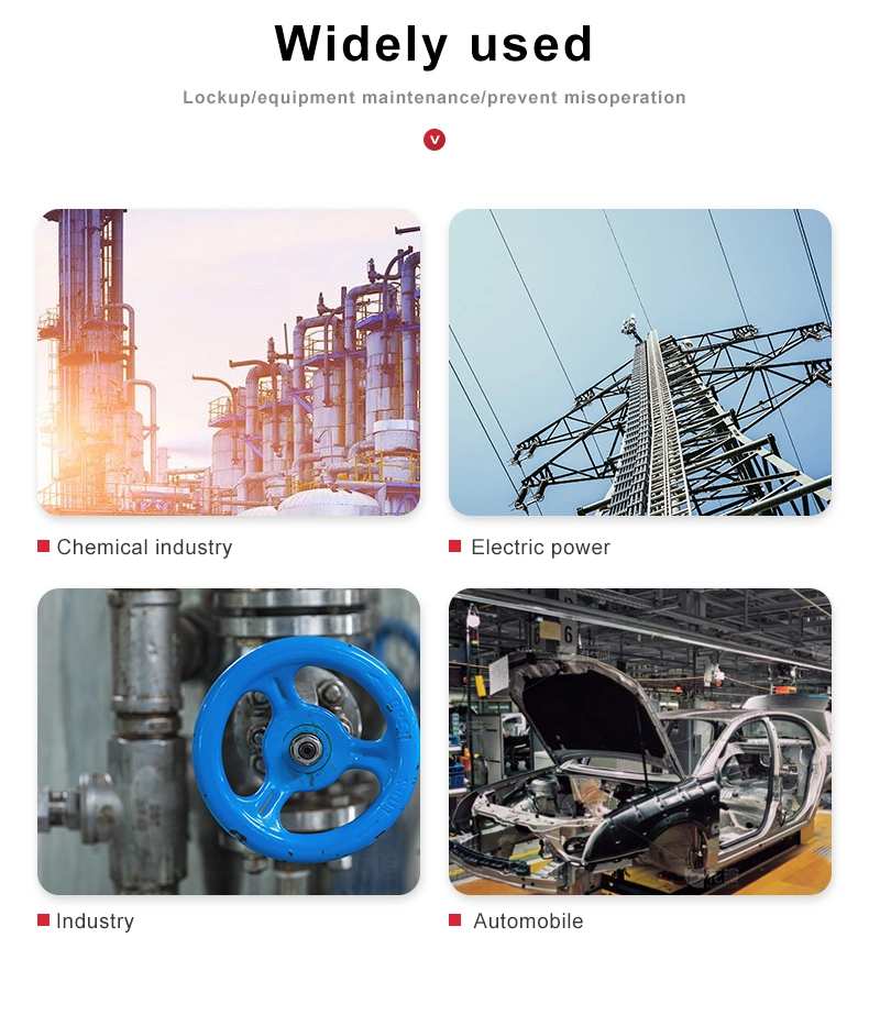 Industrial Safety Universal Cable Lockout with Padlock