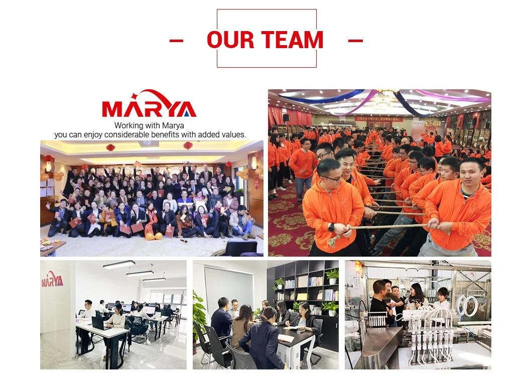 Marya Comprehensive Cleanroom Solutions GMP, ISO Safety-Focused Manufacturer