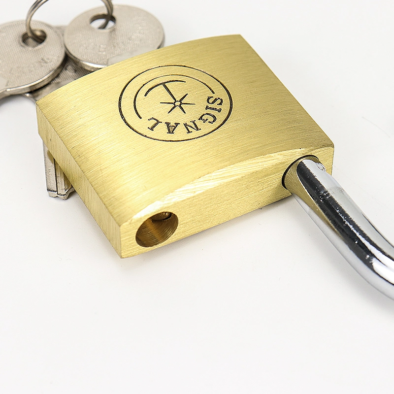 Heavy Duty Custom 32mm 40mm 50mm 60mm Steel Shackle Safety Brass Padlock with Master Key