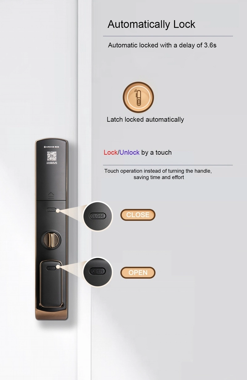 Best Auto WiFi Face Fingerprint RFID Combination Padlock Smart Lock