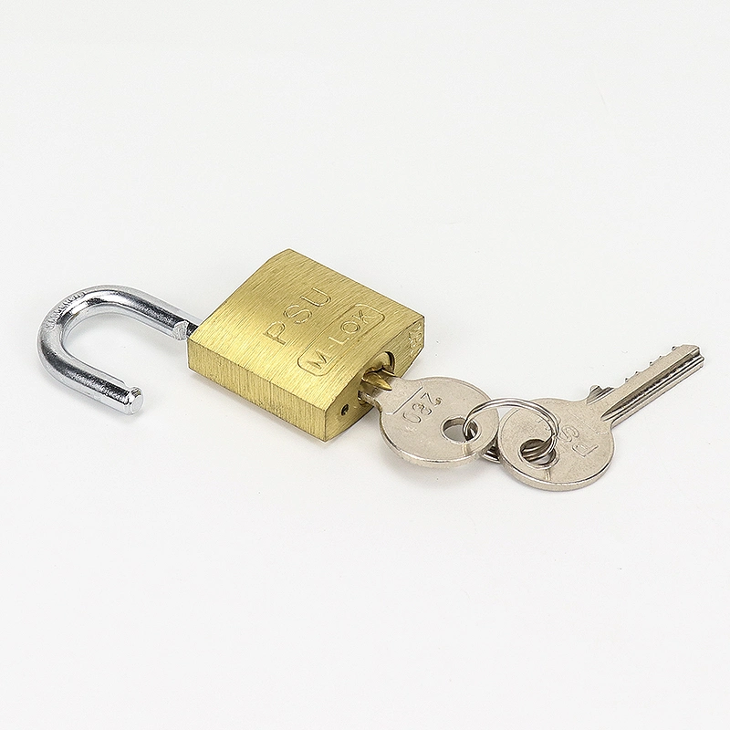 40mm Steel Shackle Safety Brass Padlock with Master Key