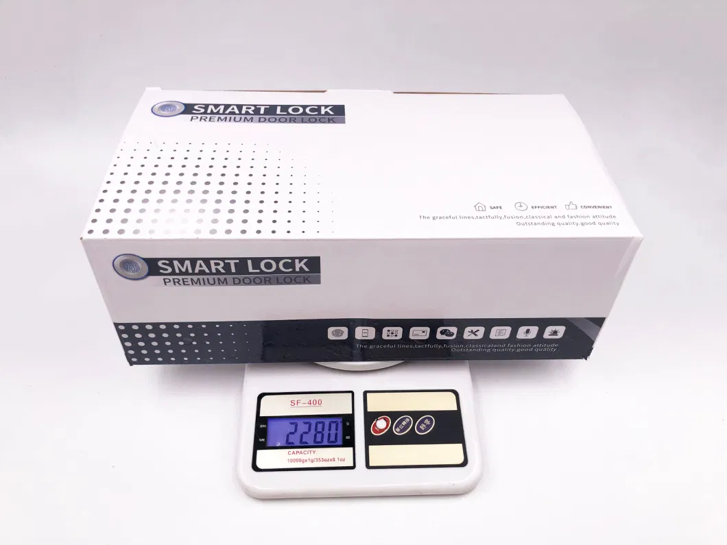 Ttlock Smart Lock Door Biometric Digital Electronic Fingerprint Lock Smart Home Security